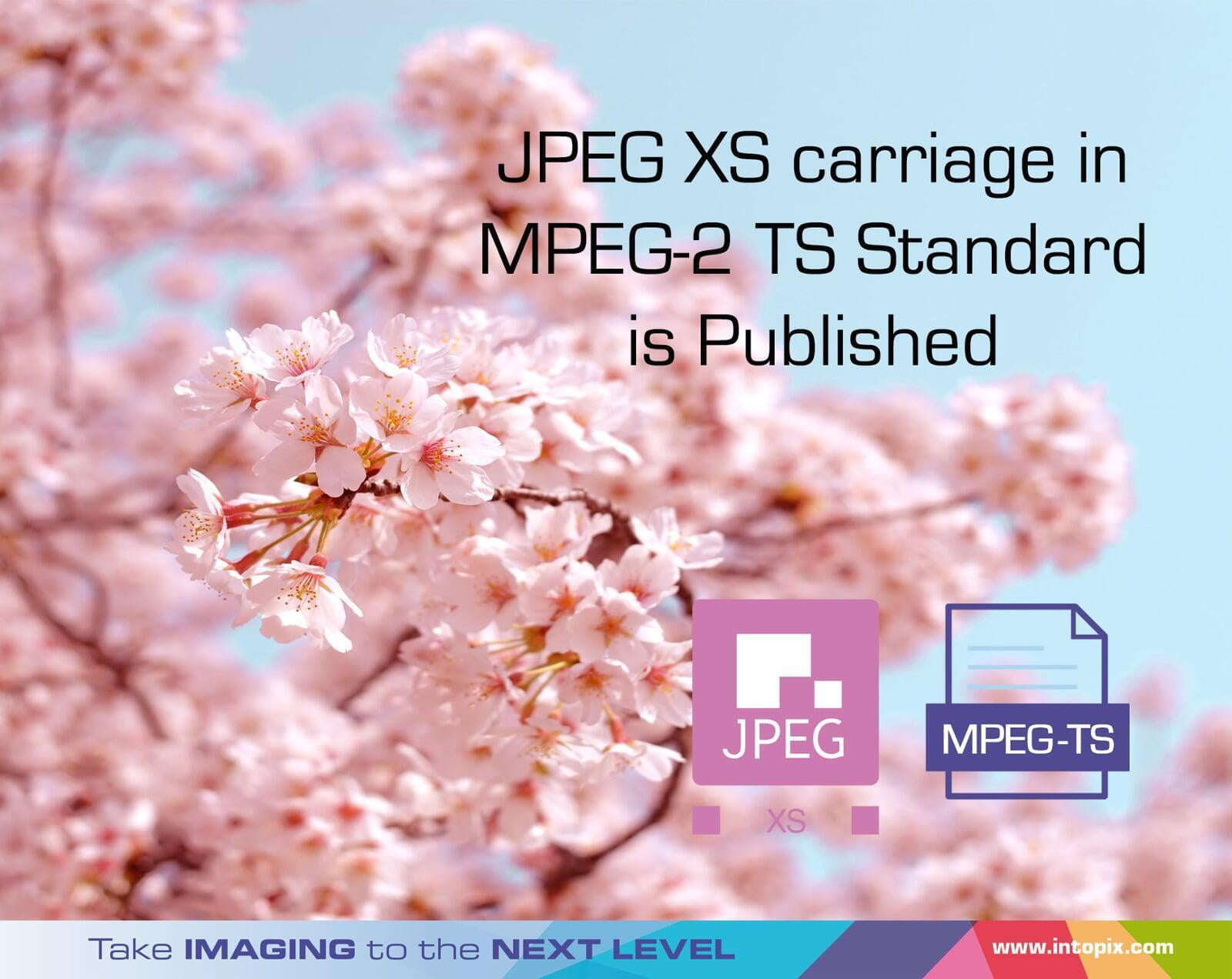 JPEG XS MPEG-2 TS标准中的载体已发布